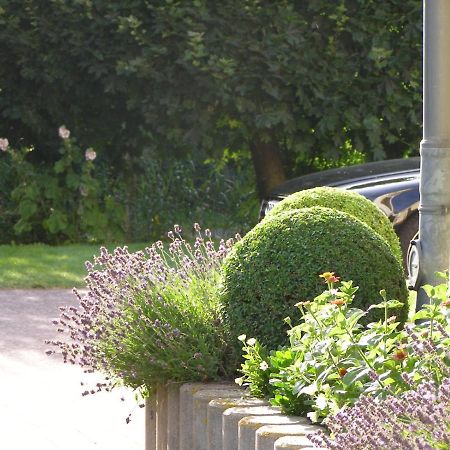 Ferienwohnung Haus Max 135 Ostseebad Kühlungsborn エクステリア 写真